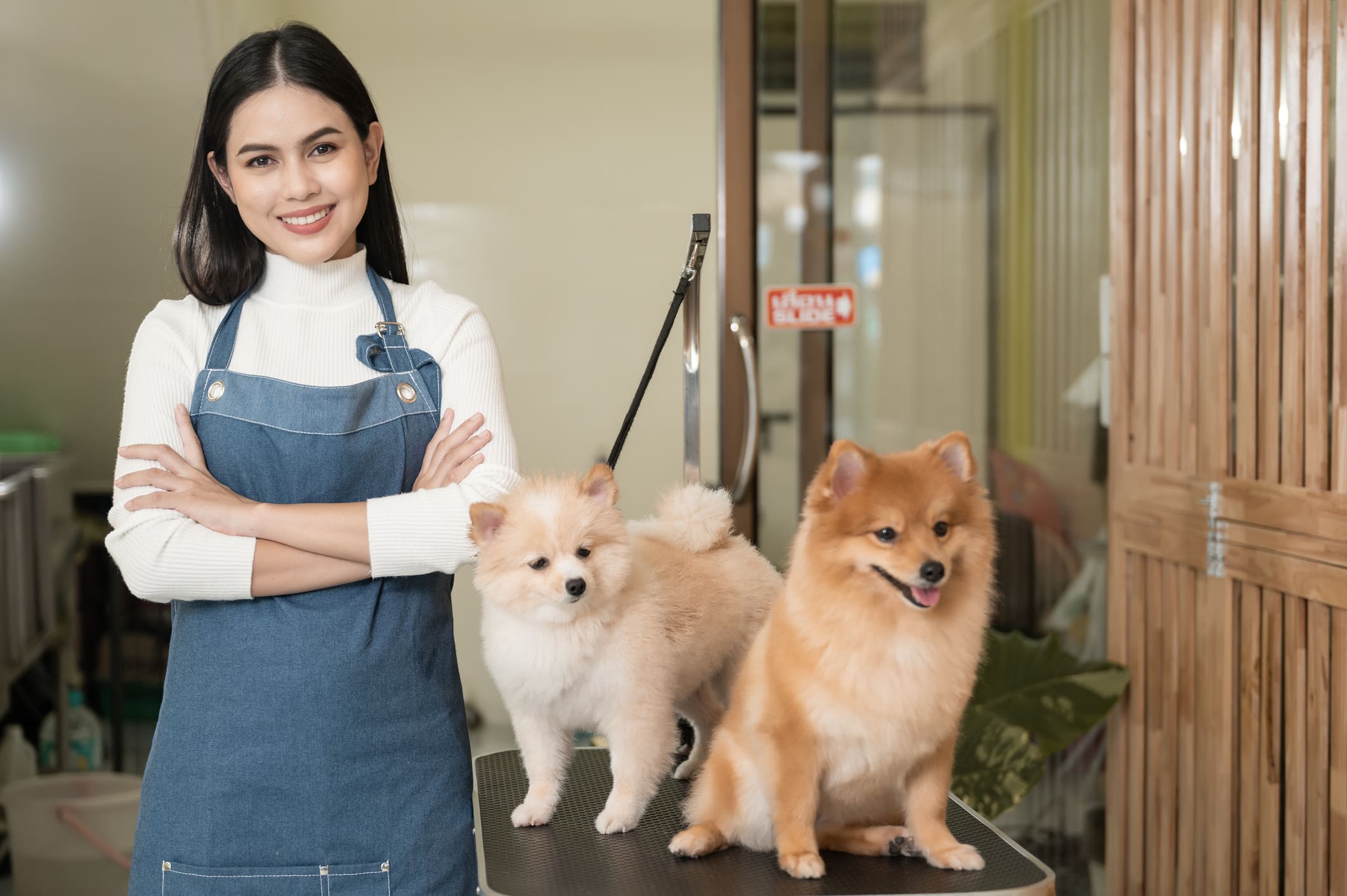 A woman in an apron stands with arms crossed beside two small, fluffy dogs on a grooming table in a pet salon.
